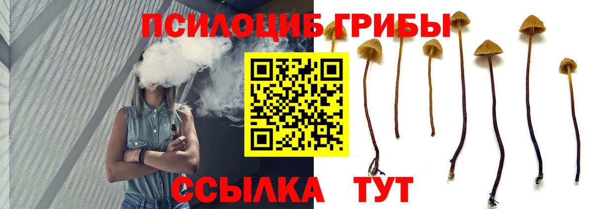 даркнет сайт  Вход с VPN  Абакан  Псилоцибиновые грибы Cubensis 
